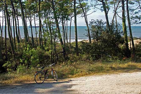 balade en vélo en forêt de la Palmyre et de la Côte Sauvage, vacances en Charente Maritime